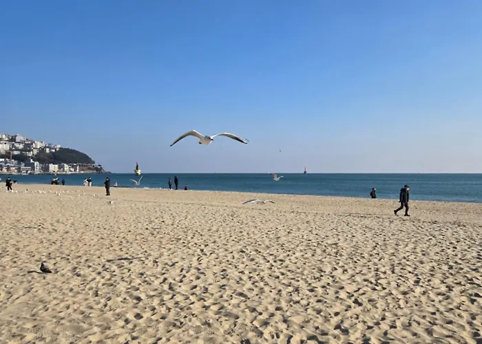 Bora Haeundae Ocean View Near Apartment Busan